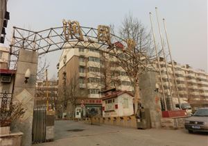 寧園街道重塑城市風貌，打造宜居社區(qū)新項目啟動