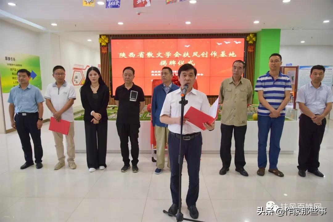 野貓網(wǎng)最新地址揭秘，探索與發(fā)現(xiàn)的時(shí)代前沿門戶