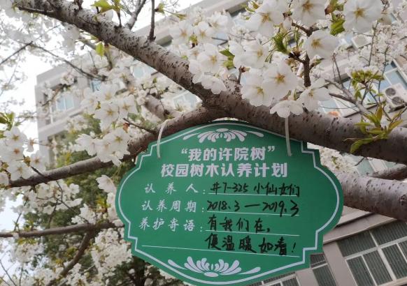 到夢空間最新版，虛擬世界的全新探索體驗(yàn)