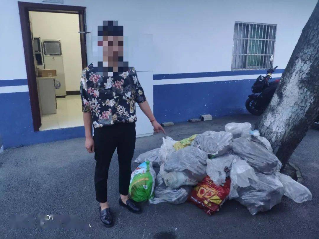 鎮(zhèn)寧新聞最新事件報(bào)道概述