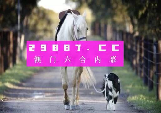 2024年12月19日 第24頁