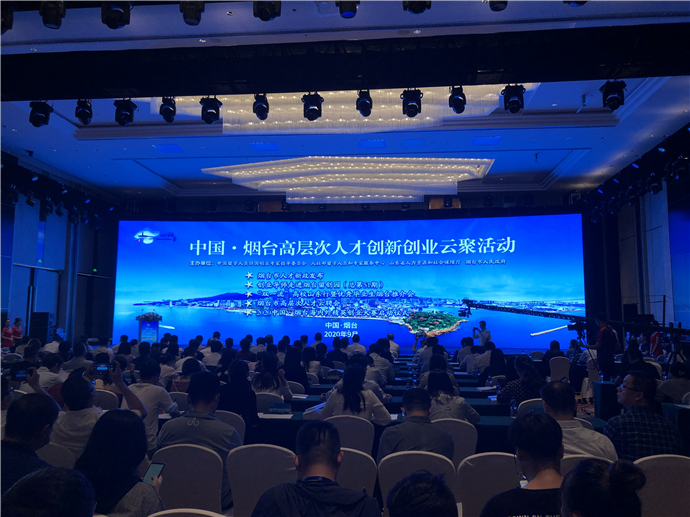 煙臺(tái)市最新招聘信息概覽，最新職位與招聘信息匯總