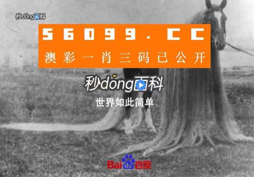 一肖一碼一必中一肖,衡量解答解釋落實(shí)_FHD72.616
