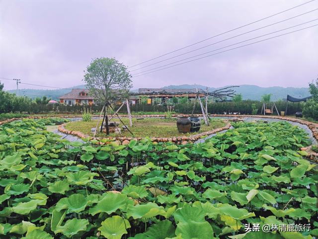 無冬鎮(zhèn)最新動態(tài)，發(fā)展與變革的歷程回顧與前瞻