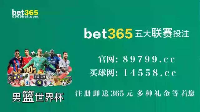 帥伯最新門戶，探索新時代的數(shù)字生活