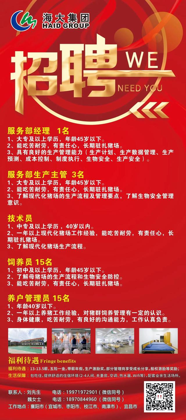 臨泉在線最新招聘信息、行業(yè)趨勢分析與招聘動態(tài)速遞