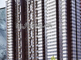 探索時(shí)尚潮流的新領(lǐng)域，最新色閣