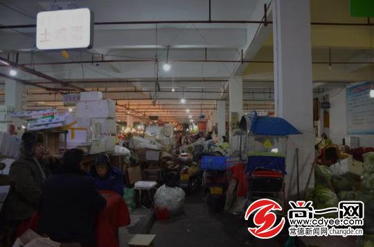 常德市教育局最新項目引領(lǐng)教育創(chuàng)新，塑造未來之光典范