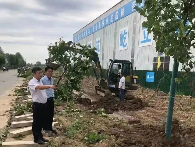 孫集鎮(zhèn)最新項目，地區(qū)發(fā)展的璀璨明珠引領前行
