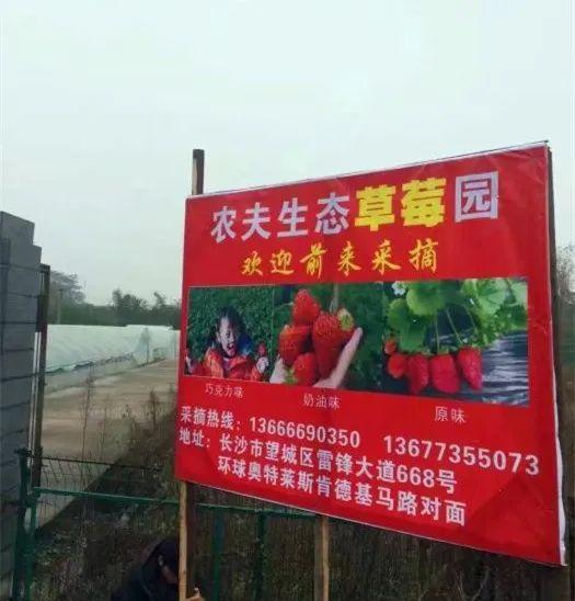長沙奧萊活動最新動態(tài)，精彩購物盛宴開啟