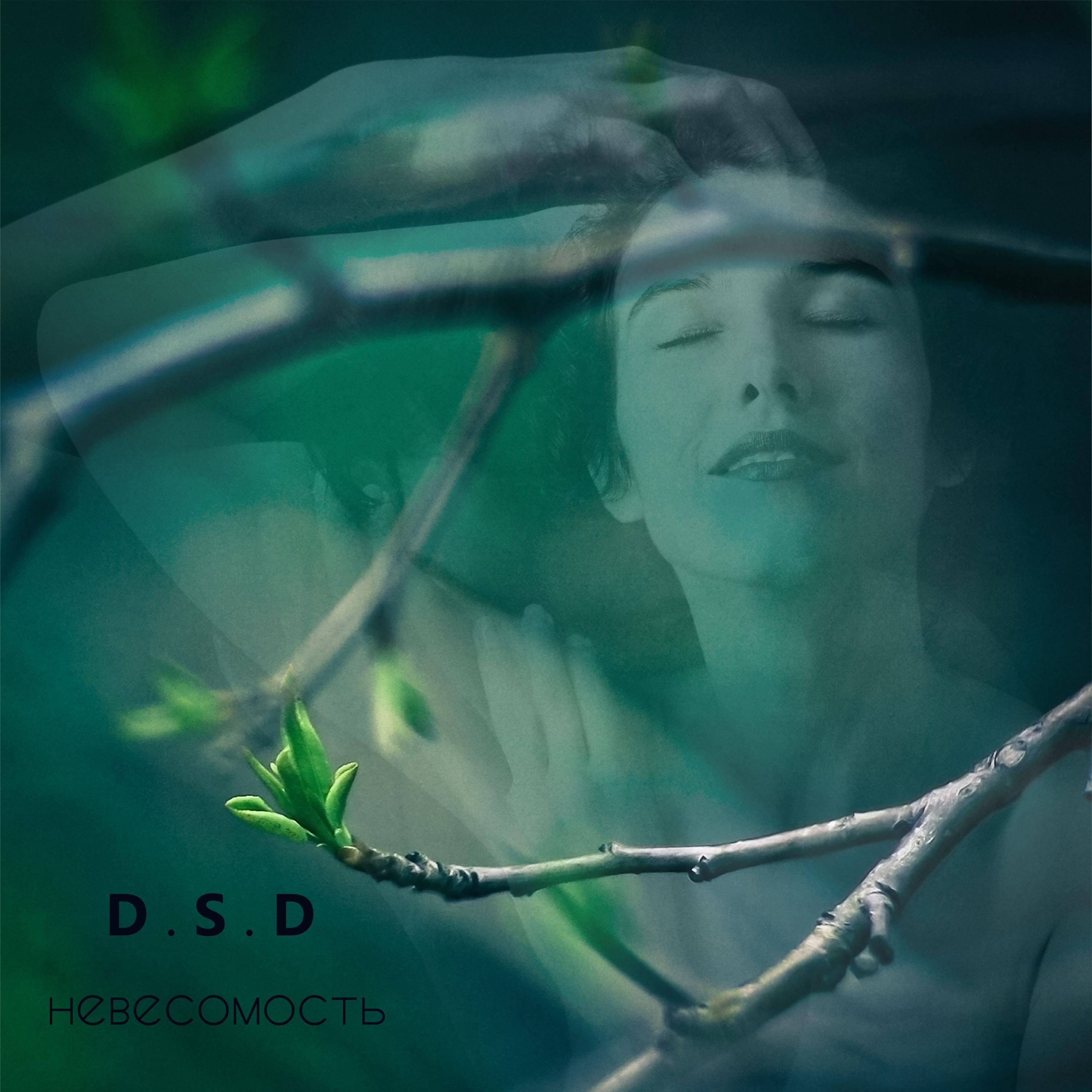 D乚最新專輯，音樂(lè)的新里程碑