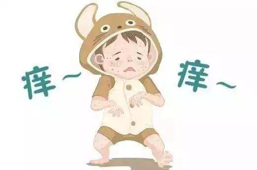 唯美似夏花丶