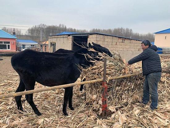 科爾沁右翼前旗醫(yī)療保障局最新領(lǐng)導(dǎo)團(tuán)隊(duì)及未來工作展望