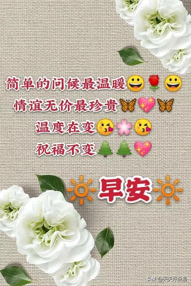 最新溫馨早安圖片，喚醒美好一天的魔法力量