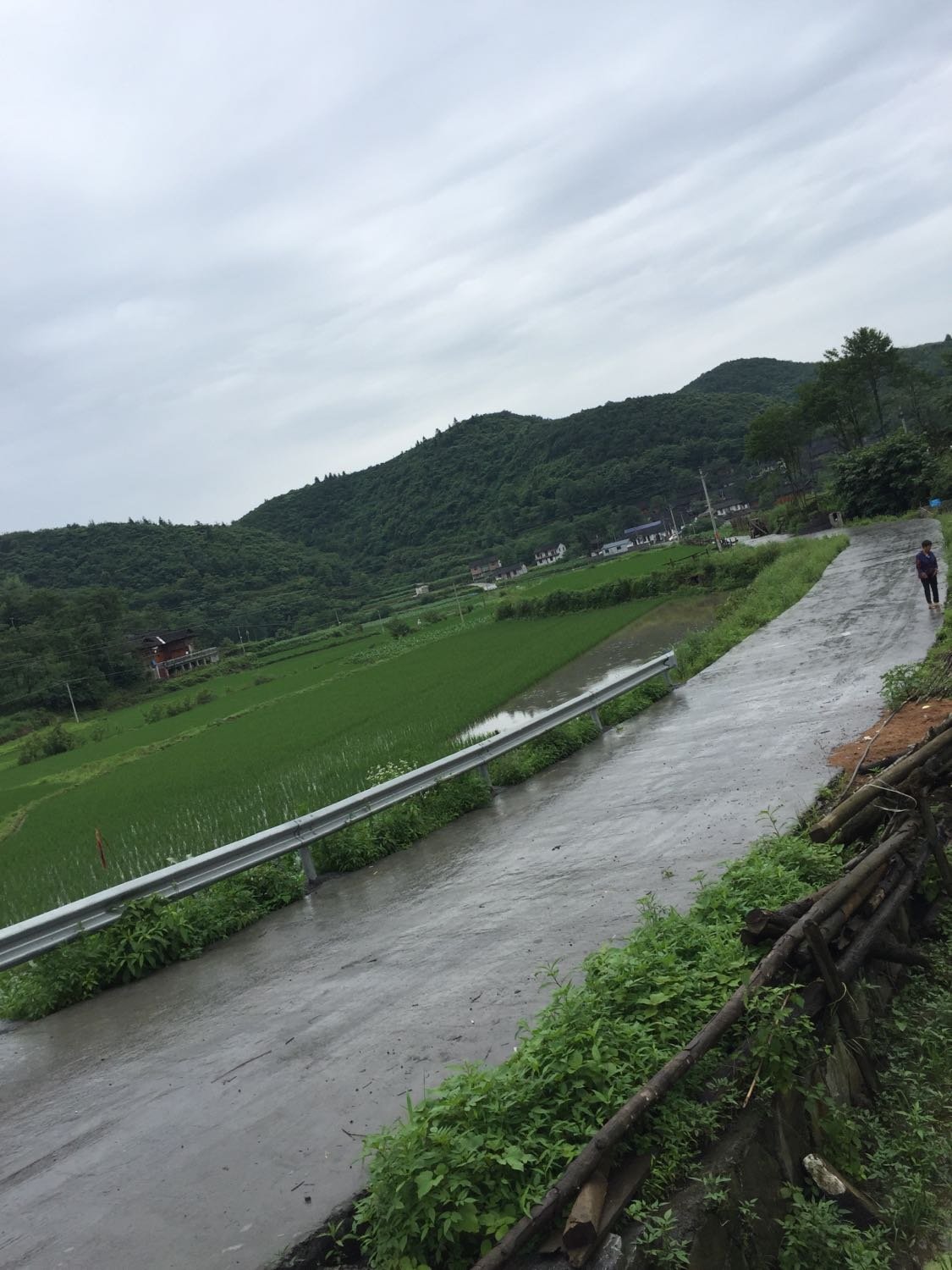 珠托村最新天氣預報更新通知