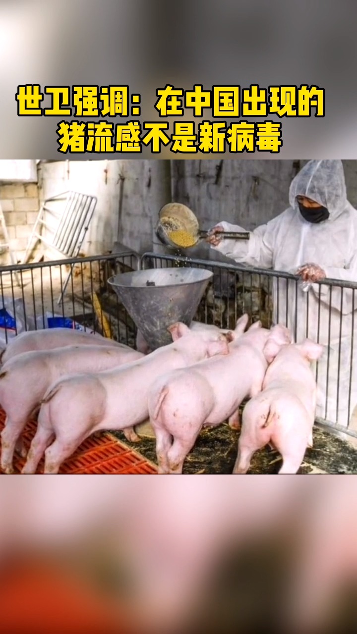 豬流感全球防控進(jìn)展與疫苗最新情況
