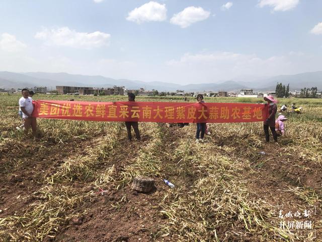 美團(tuán)優(yōu)選最新狀況深度解析與分析報告