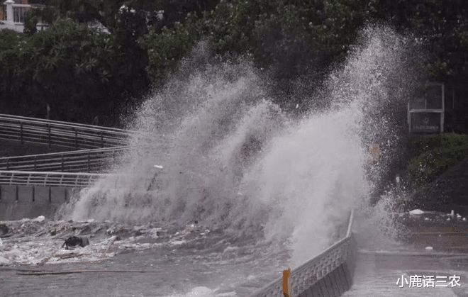 東北暴雨最新天氣預報，如何應對暴雨天氣及其應對措施