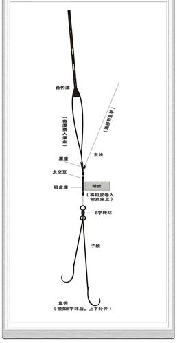 鏈魚(yú)最新釣組探索，革新釣魚(yú)技術(shù)
