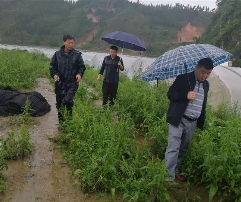 多康村最新交通新聞更新，交通動(dòng)態(tài)與進(jìn)展
