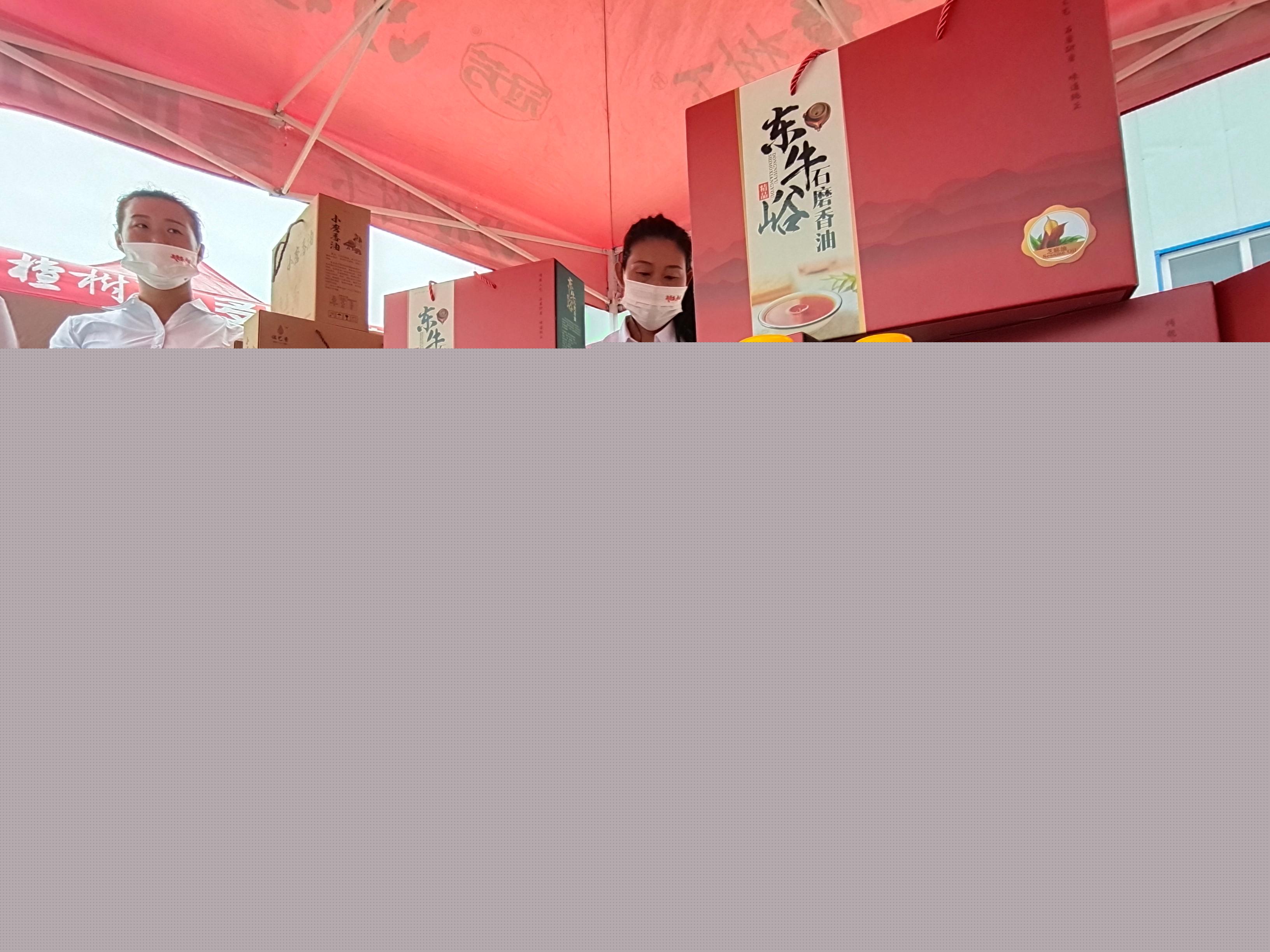 太子井鄉(xiāng)最新項(xiàng)目，引領(lǐng)鄉(xiāng)村發(fā)展的強(qiáng)大動力源泉