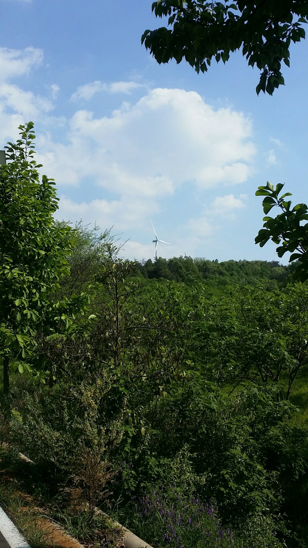 八公山鎮(zhèn)最新天氣預報概覽